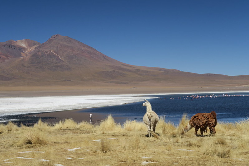 Photograph the Bolivian Highlands